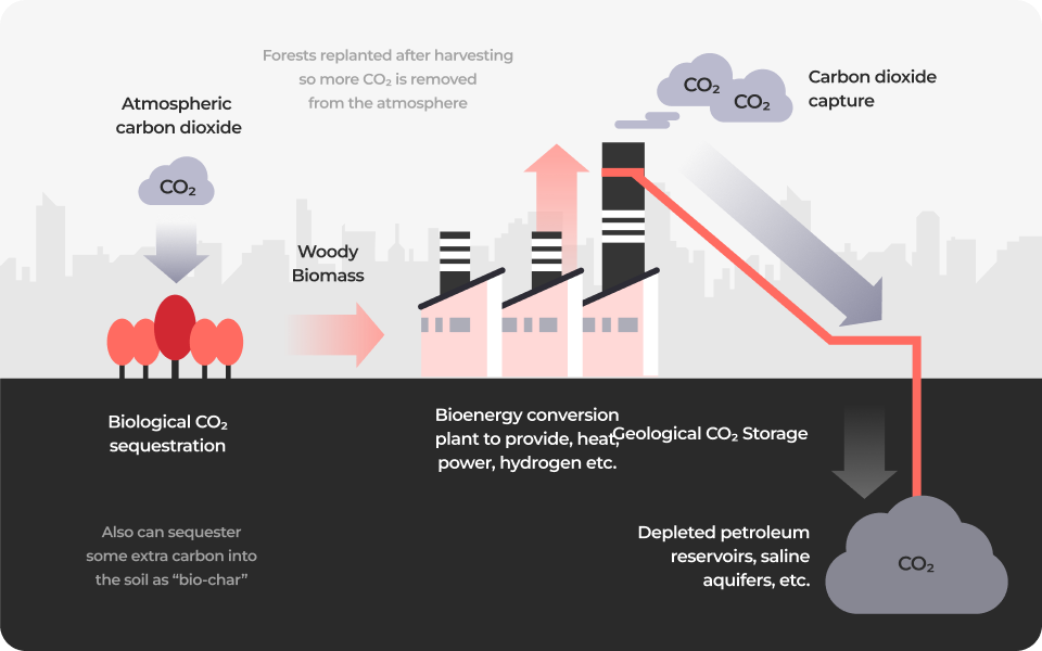BECCS process: woody biomass absorbs atmospheric CO2, a bioenergy conversion plant provides heat, power and hydrogen, and the captured CO2 is stored in depleted petroleum reservoirs or saline aquifers